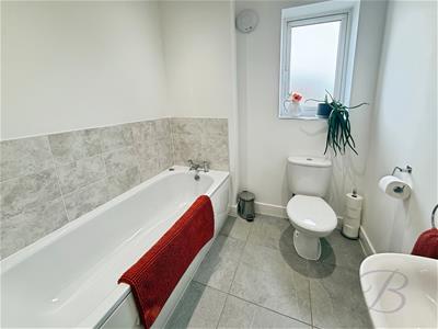 Picture 26